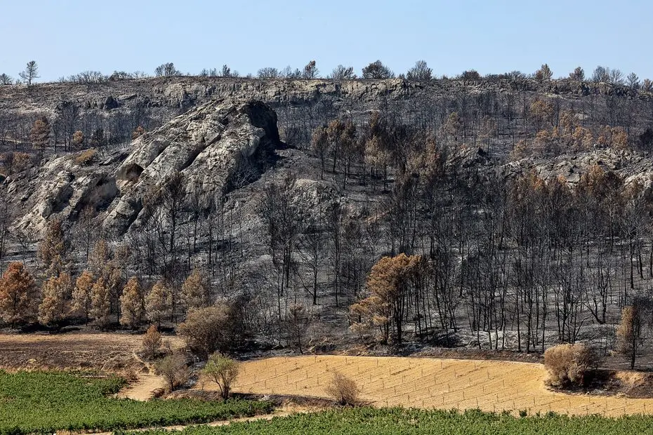 Incendie meurtrier dans l'Aude : le feu "pourrait avoir une cause criminelle résultant d'un acte volontaire", c'est la piste privilégiée par le parquet