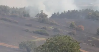 Incendies dans le Tarn : le feu fixé à Montredon après 64 hectares détruits, ceux de Lacaze et Lacabarède toujours sous surveillance