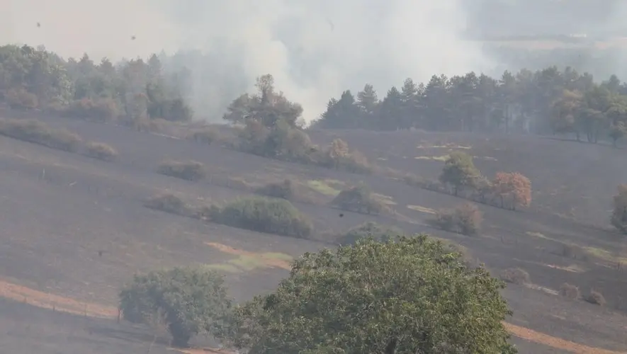 Incendies dans le Tarn : le feu fixé à Montredon après 64 hectares détruits, ceux de Lacaze et Lacabarède toujours sous surveillance