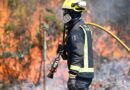Incendies, droits de douane, Mondial de rugby : les informations de la nuit