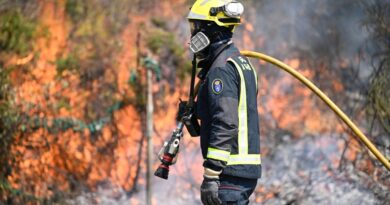 Incendies, droits de douane, Mondial de rugby : les informations de la nuit
