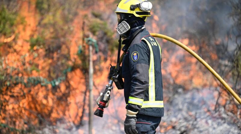Incendies, droits de douane, Mondial de rugby : les informations de la nuit