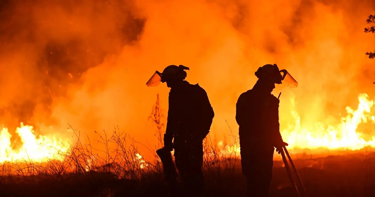 Incendies en Espagne, “guerre” française au Cameroun, guerre en Ukraine, coopération Russie-Corée du Nord : les informations de la nuit