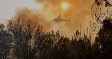 Incendies : les demandes de solidarité de l'UE déjà au niveau de 2024