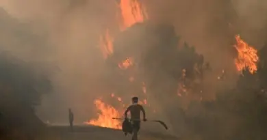 incendies erurope million hectares
