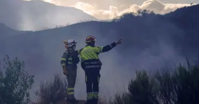 Incendies : plus d'un million d'hectares brûlés dans l'Union européenne depuis le début de l'année, un record - ici