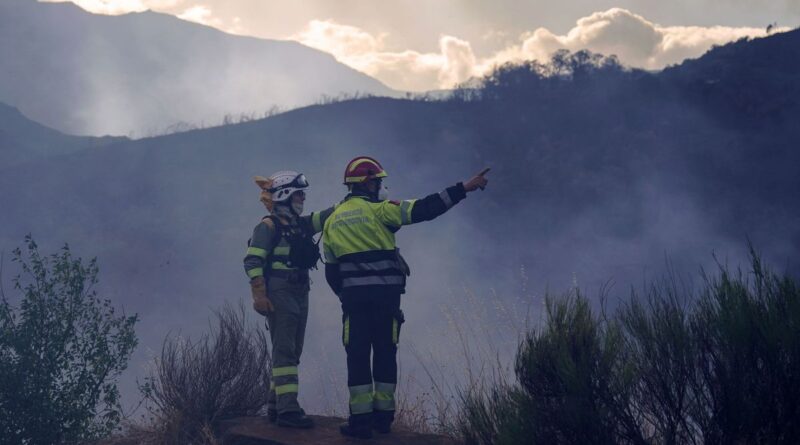 Incendies : plus d'un million d'hectares brûlés dans l'Union européenne depuis le début de l'année, un record  - ici