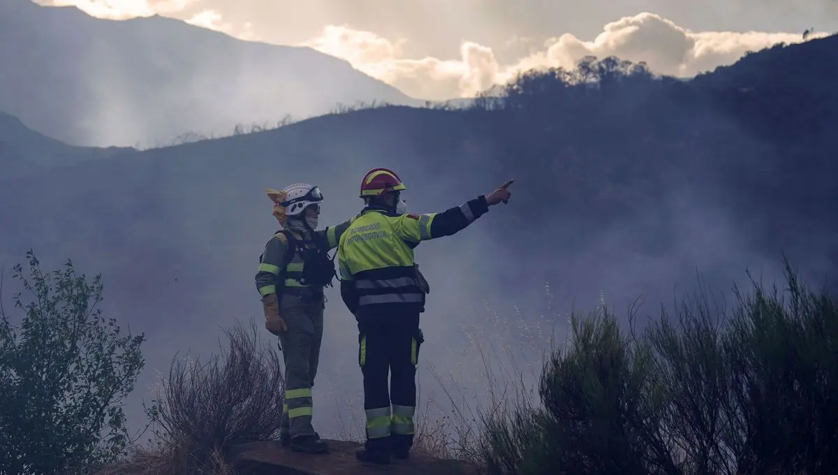 Incendies : plus d'un million d'hectares brûlés dans l'Union européenne depuis le début de l'année, un record - ici
