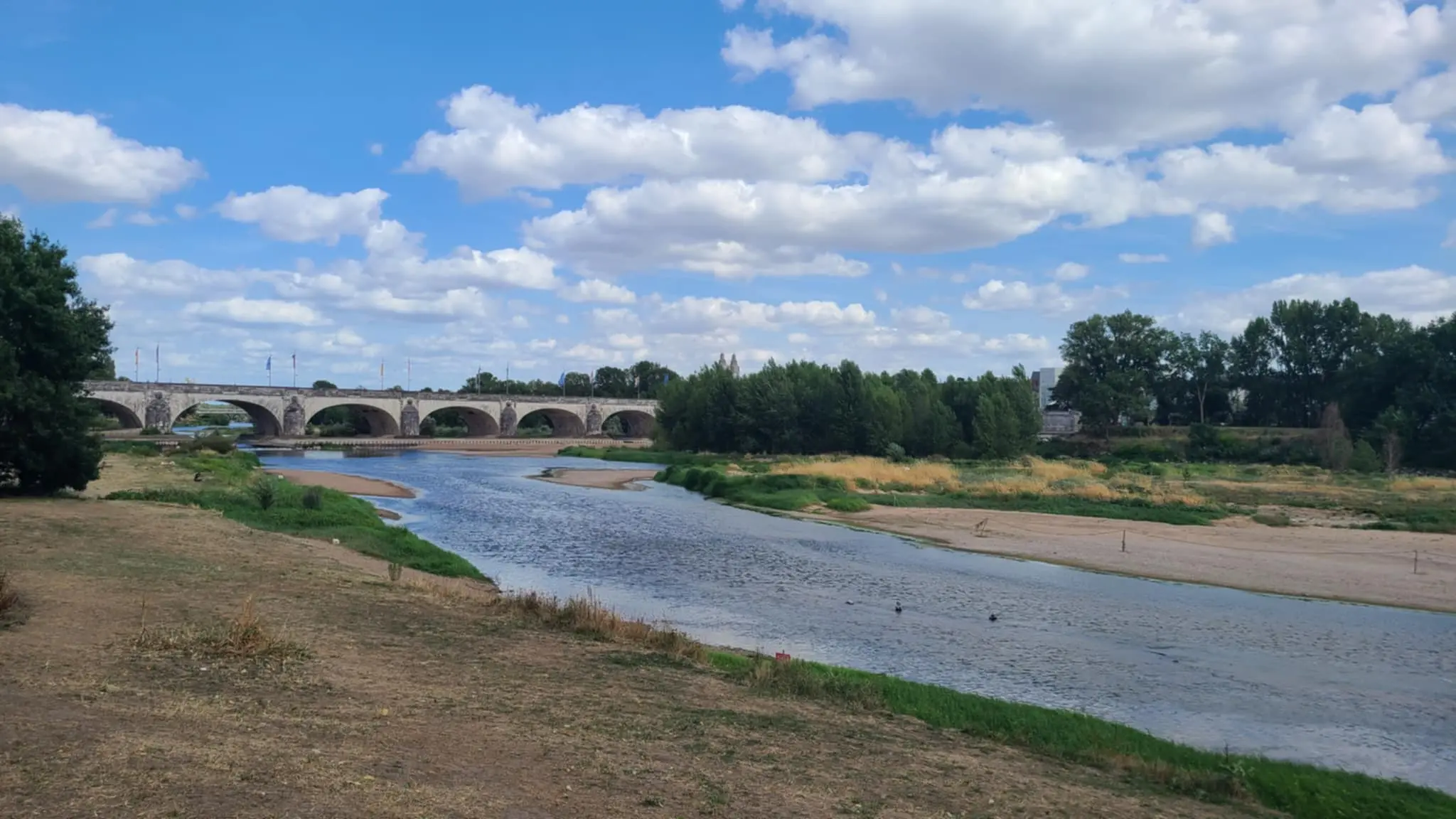 Info Tours | 2 enfants manquent de se noyer près du Pont Wilson à Tours