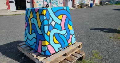 Info Tours | [Photos du jour] Fini les plots tristes à Tours : un artiste missionné pour les décorer