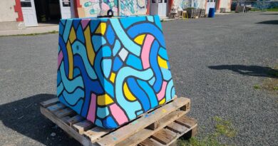 Info Tours | [Photos du jour] Fini les plots tristes à Tours : un artiste missionné pour les décorer