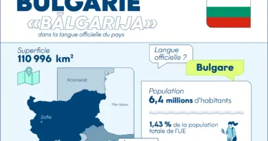 Infographie : la Bulgarie en un clin d'œil - Touteleurope.eu