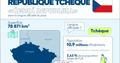 Infographie : la République tchèque en un clin d'œil - Touteleurope.eu