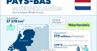 Infographie : les Pays-Bas en un clin d'œil - Touteleurope.eu