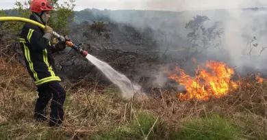 Interruption du trafic ferroviaire entre Nantes et Clisson en raison d’un incendie