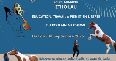JE ME DEPLACE EN CORSE🥳
