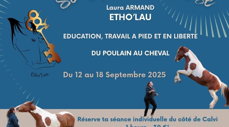 JE ME DEPLACE EN CORSE🥳