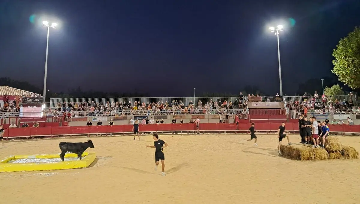 "J'adore l'ambiance, toutes les générations sont mélangées" : à Villeneuve-lès-Maguelone, le toro piscine a la côte - ici