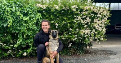 "J’ai toujours aimé le contact avec les animaux" : comment sont formés les futurs maîtres-chiens de la gendarmerie