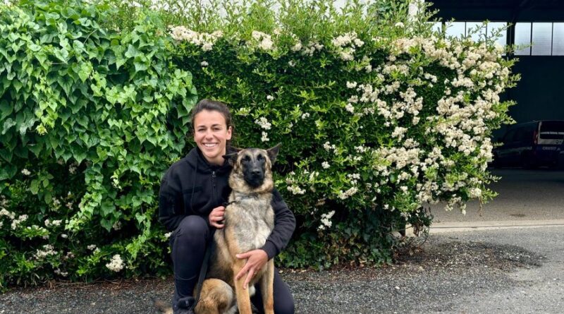 "J’ai toujours aimé le contact avec les animaux" : comment sont formés les futurs maîtres-chiens de la gendarmerie