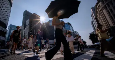 Japon : avec 900 000 personnes en moins, le déclin de la population japonaise atteint des records en 2024
