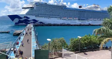 "Je suis juste contente d'être ici" : des croisiéristes ravis de leur escale-surprise en Martinique