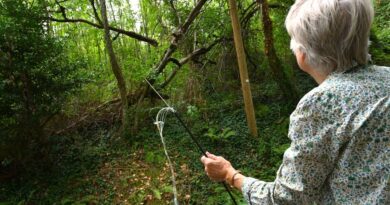 "Je suis tellement en colère que j’en pleure"… Privée de fibre dans son camping depuis bientôt trois semaines, cette Tarnaise est en plein cauchemar