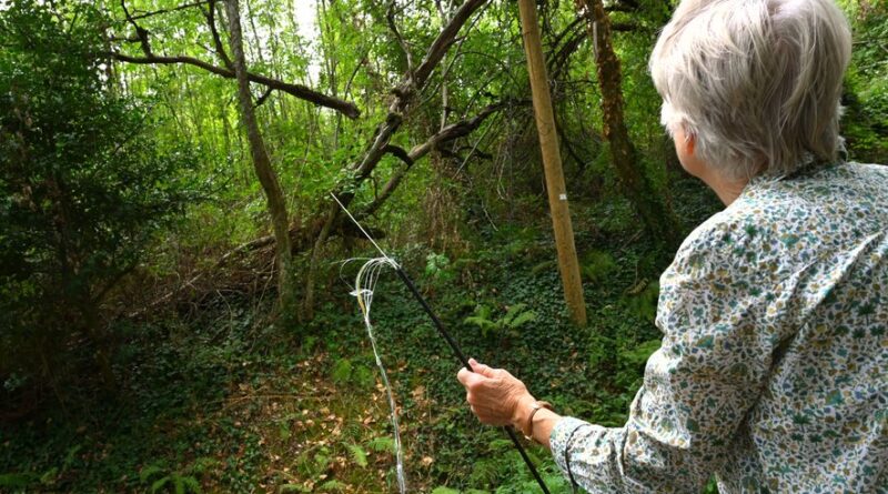 "Je suis tellement en colère que j’en pleure"… Privée de fibre dans son camping depuis bientôt trois semaines, cette Tarnaise est en plein cauchemar