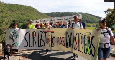 "Je trouve aberrant de défricher une forêt pour planter des panneaux solaires" : les opposants au projet ont manifesté leur colère, ce dimanche