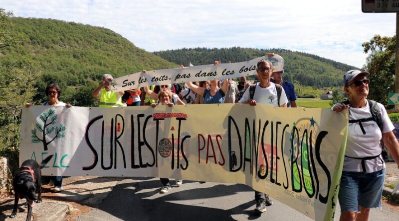 "Je trouve aberrant de défricher une forêt pour planter des panneaux solaires" : les opposants au projet ont manifesté leur colère, ce dimanche