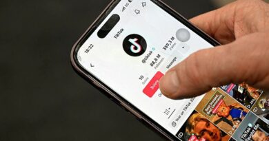 "Je vais te couper la tête" : le parquet de Lyon ouvre une enquête après une vidéo TikTok mentionnant l’État islamique