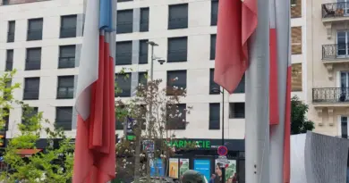Joinville-le-Pont : le maire, ex-pharmacien, met les drapeaux en berne en soutien à la grève de ses confrères