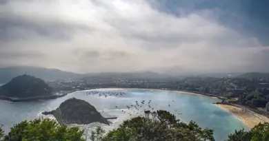 Mayotte, Mamoudzou, lagoon, beach, coral, mangrove, ylang-ylang, island, Creole, nature