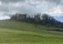 Jura. Leur jeu dans les ruines d'un château tourne mal : deux scouts font une chute de plusieurs mètres
