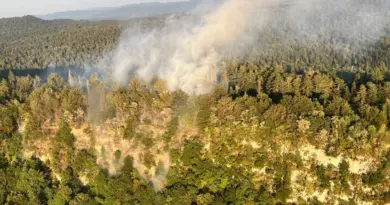 Jura. L’incendie entre Villards-d’Héria et Moirans-en-Montagne sur le point d’être maîtrisé