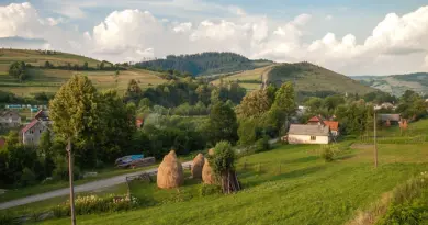 Bourgogne-Franche-Comté, Dijon, Besançon, vineyard, forest, river, mountain, village