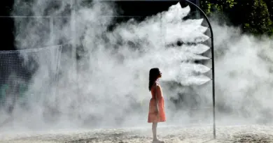 "Jusqu'à 40 degrés dans l'intérieur des terres", Vendée, Loire-Atlantique et Maine-et-Loire en alerte orange canicule