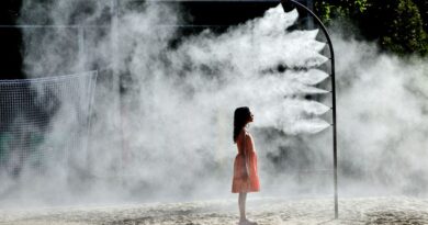 "Jusqu'à 40 degrés dans l'intérieur des terres", Vendée, Loire-Atlantique et Maine-et-Loire en alerte orange canicule