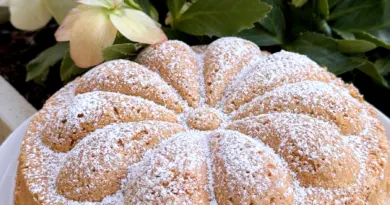 L’Annécien ou le Biscuit de Savoie de la Yaute ?