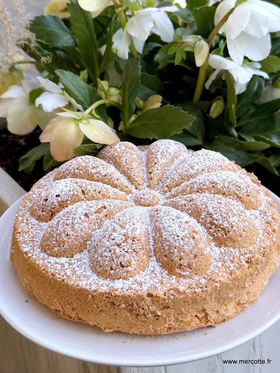L’Annécien ou le Biscuit de Savoie de la Yaute ?