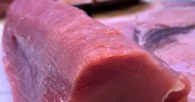 LONGE DE THON ALBACORE PECHE OCEAN INDIEN