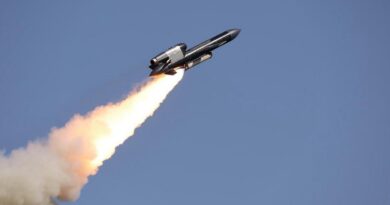 L'Ukraine dévoile son nouveau missile baptisé Flamingo