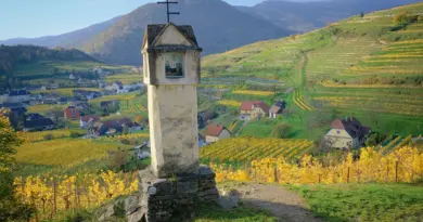 Bourgogne-Franche-Comté, Dijon, Besançon, vineyard, forest, river, mountain, village