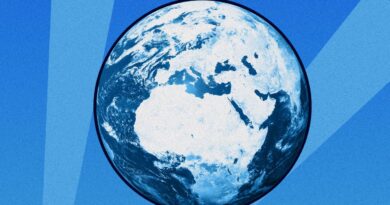 « La Cour internationale de justice ouvre la voie à des contentieux internationaux sur le climat »