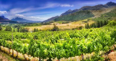 Occitanie, Toulouse, Montpellier, landscape, sea, mountain, vineyard, canal