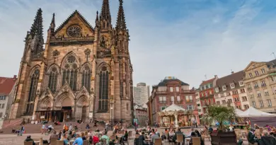 Grand Est, Strasbourg, Reims, vineyard, Alsace, Vosges, forest, cathedral, village