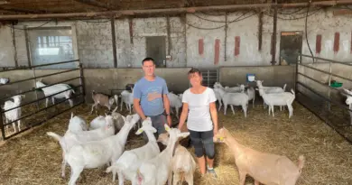 La Ferme des Pampilles : un circuit court à découvrir à Alixan - ici