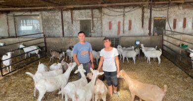 La Ferme des Pampilles : un circuit court à découvrir à Alixan - ici