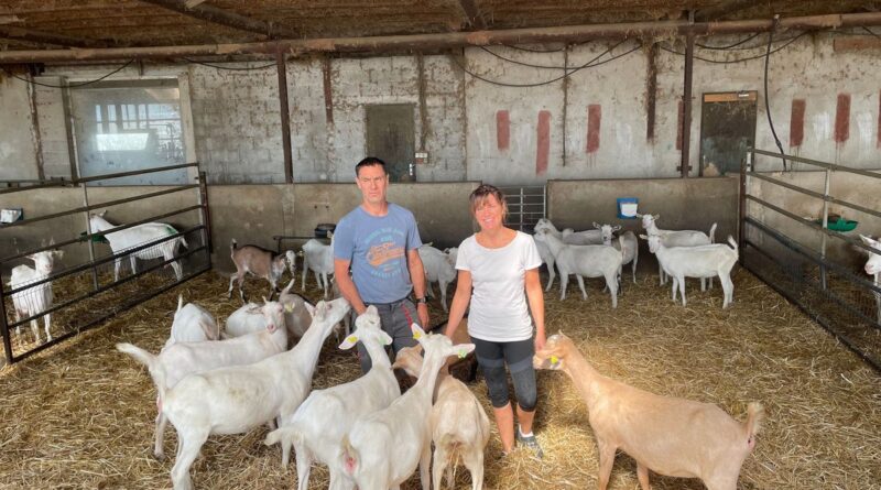 La Ferme des Pampilles : un circuit court à découvrir à Alixan - ici