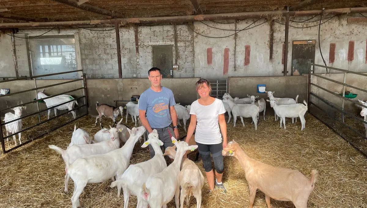 La Ferme des Pampilles : un circuit court à découvrir à Alixan - ici
